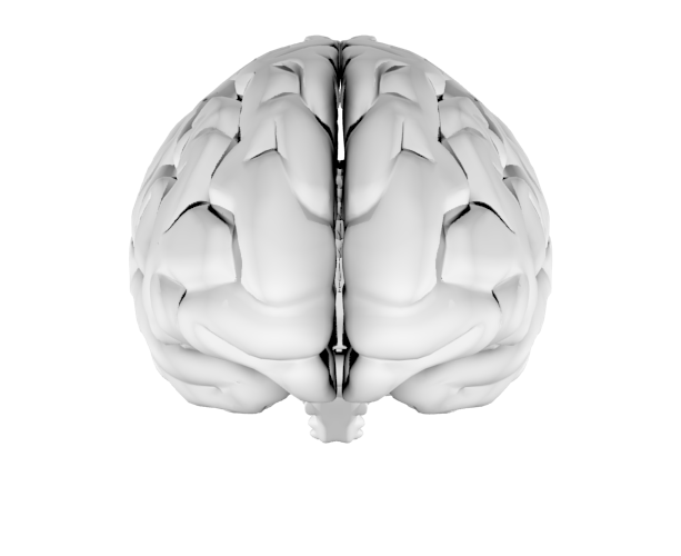 Your Brain Your Brain